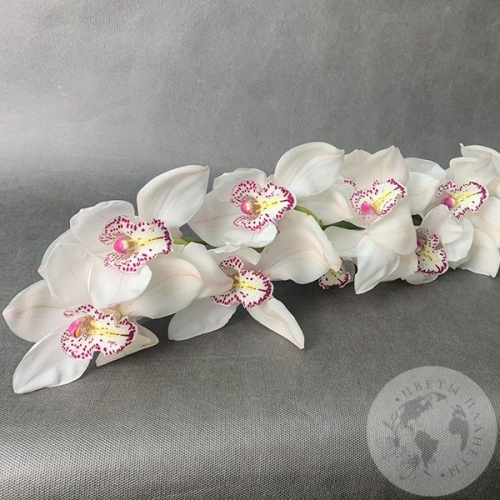 Орхидея Цимбидиум белая