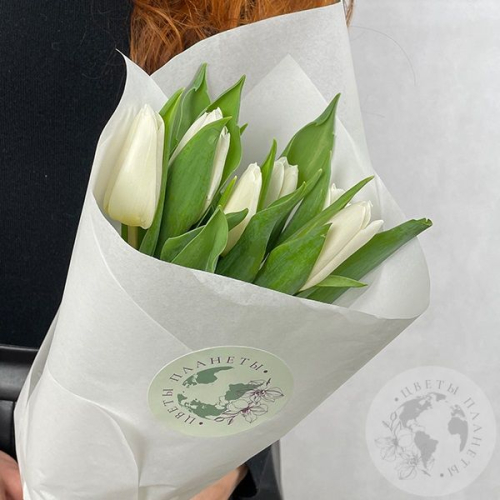 15 тюльпанов белых в магазине Цветы Планеты