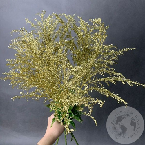 Солидаго Золото 5 шт. в магазине Цветы Планеты