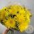15 хризантем желтых в магазине Цветы Планеты 15 хризантем желтых