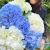 9 гортензий микс в магазине Цветы Планеты 9 гортензий микс