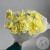 13 гвоздик желтых в магазине Цветы Планеты 13 гвоздик желтых