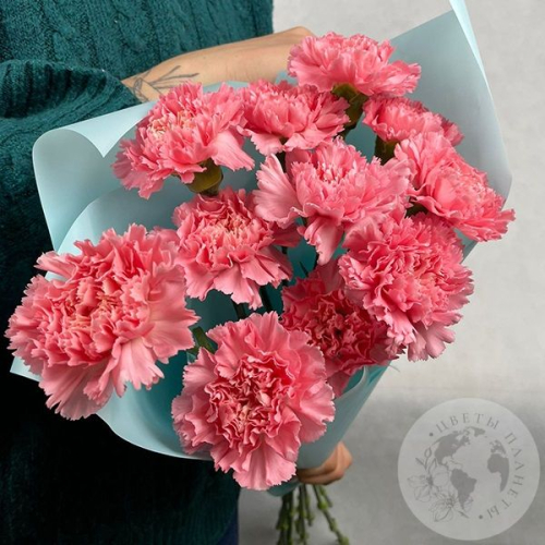 11 гвоздик розовых в магазине Цветы Планеты