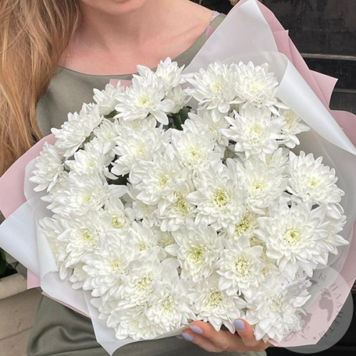 15 белых кустовых хризантем