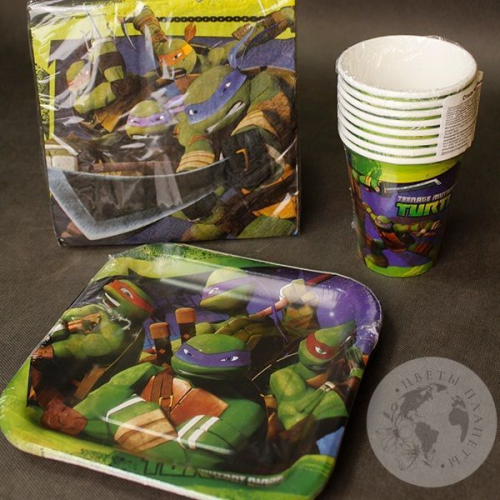 Набор посуды "Черепашки-ниндзя" в магазине Цветы Планеты