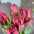 7 бордовых пионовидных тюльпанов в магазине Цветы Планеты