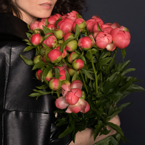 51 пион розовый в магазине Цветы Планеты