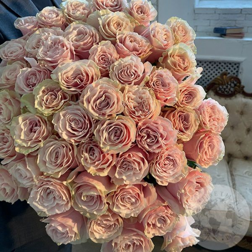 51 роза кремовая 70 см в магазине Цветы Планеты