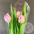 3 розовых пионовидных тюльпана в магазине Цветы Планеты