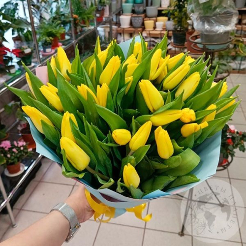 Букет из 35 желтых тюльпанов в магазине Цветы Планеты