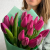 15 тюльпанов бордовых в магазине Цветы Планеты