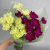 19 гвоздик MIX 19 гвоздик MIX в магазине Цветы Планеты