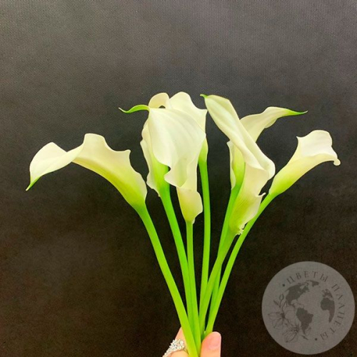 Каллы белые 7 шт.