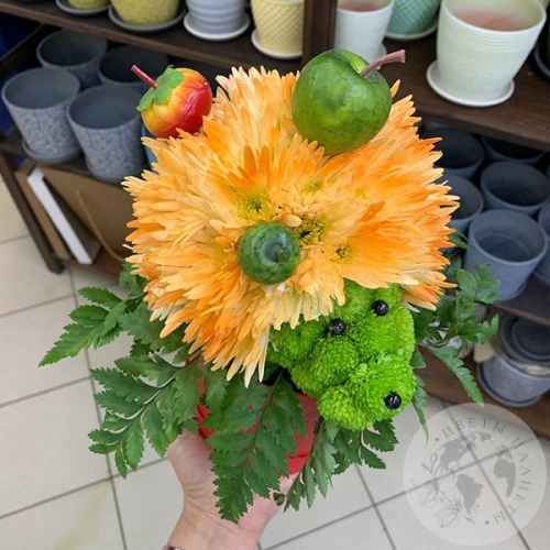 Композиция из кустовой хризантемы "Ежик" в магазине Цветы Планеты