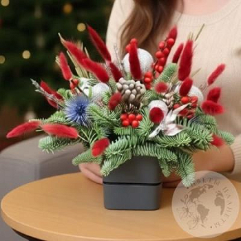 Новогодняя композиция с нобилисом в кашпо