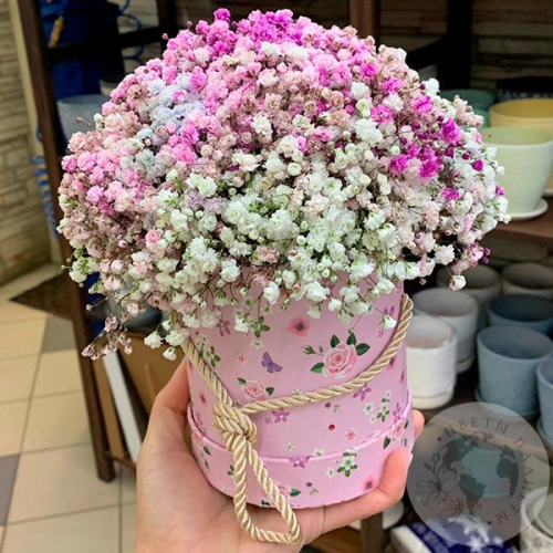 Композиция из розовой гипсофилы в коробке в магазине Цветы Планеты