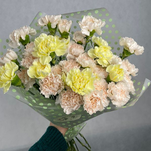 35 гвоздик MIX в магазине Цветы Планеты