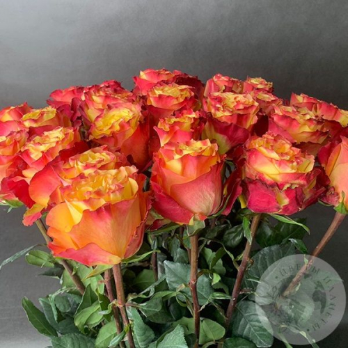 25 роз красно-желтых 80 см. в магазине Цветы Планеты