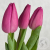 3 тюльпана бордовых 3 тюльпана бордовых в магазине Цветы Планеты