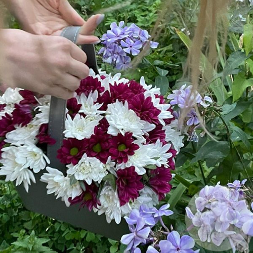 Букет из 9 кустовых белых и бордовых хризантем в корзине в магазине Цветы Планеты