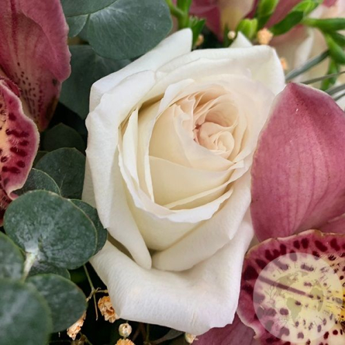 Ящик с розой, орхидеей и папоротником в магазине Цветы Планеты