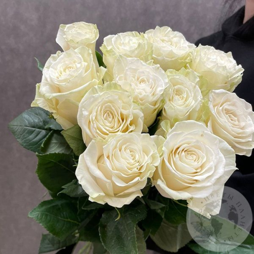 11 роз белых 70 см. в магазине Цветы Планеты