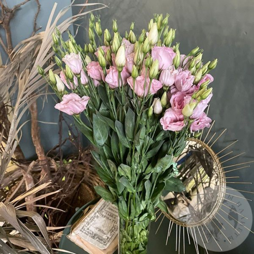 Эустома розовая 9 шт.