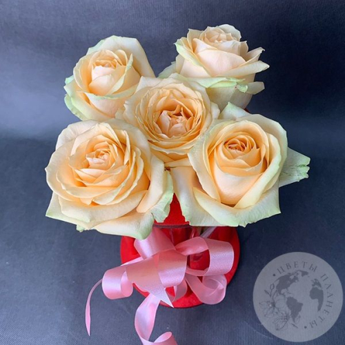 Роза кремовая в колбе 5 шт. в магазине Цветы Планеты