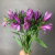 7 Альстромерий фиолетовых
