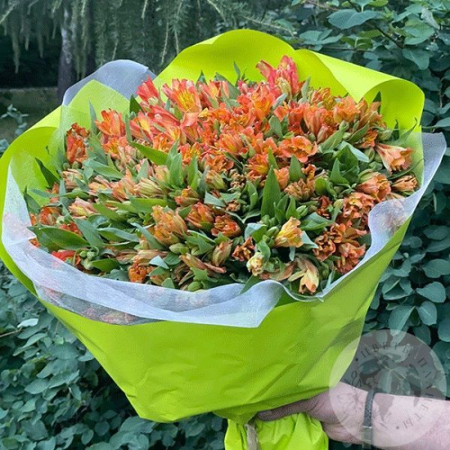 Букет из 51 альстромерии оранжевой