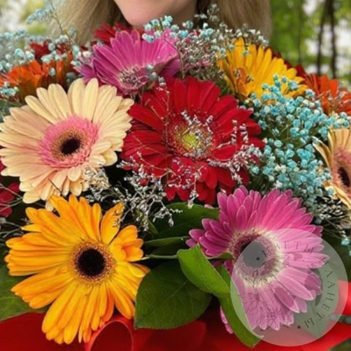 Букет из гербер и гипсофил в магазине Цветы Планеты