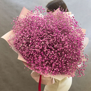 Монобукет из розовой гипсофилы