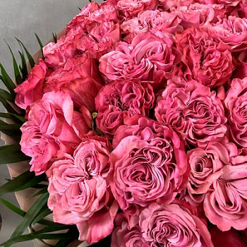 Монобукет из роз Кантри Блюз 51 шт. 70 см.