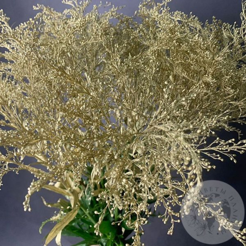 Солидаго Золото 11 шт. в магазине Цветы Планеты