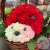 Композиция из гвоздик "Божья коровка" в магазине Цветы Планеты
