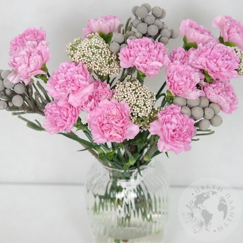 Букет из гвоздик "Настроение"