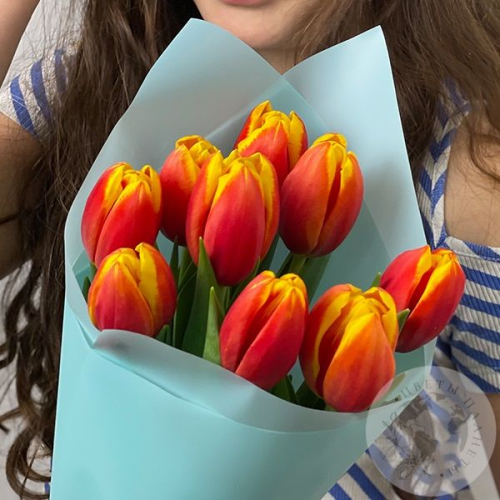 9 тюльпанов красно-желтых в магазине Цветы Планеты