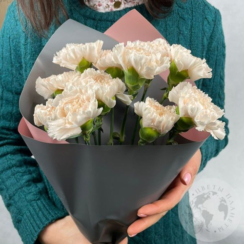 13 гвоздики персиковых