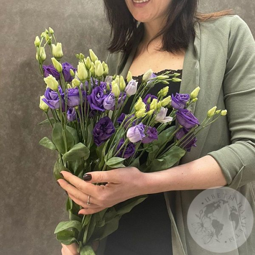 Эустома фиолетовая 7 шт.