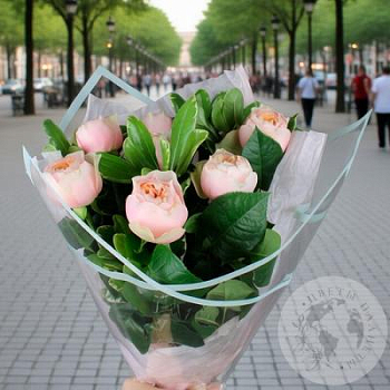  Букет из 7 роз и питтоспорума