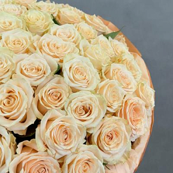 Букет из кремовых роз Эквадор 25 шт. 60 см.
