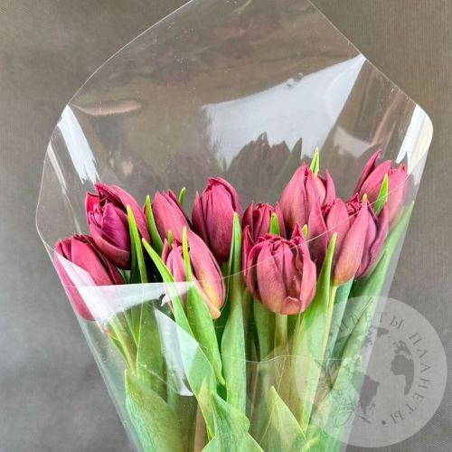 11 бордовых пионовидных тюльпанов в магазине Цветы Планеты