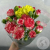 11 кустовых гвоздик MIX 11 кустовых гвоздик MIX в магазине Цветы Планеты