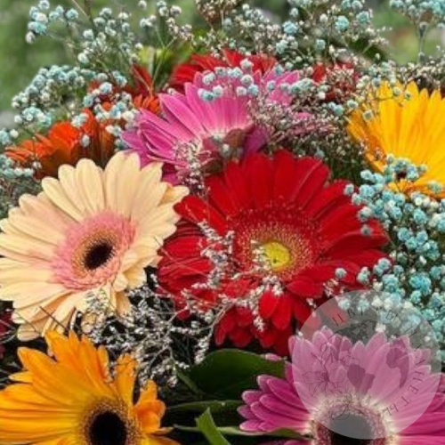 Букет из гербер и гипсофил в магазине Цветы Планеты