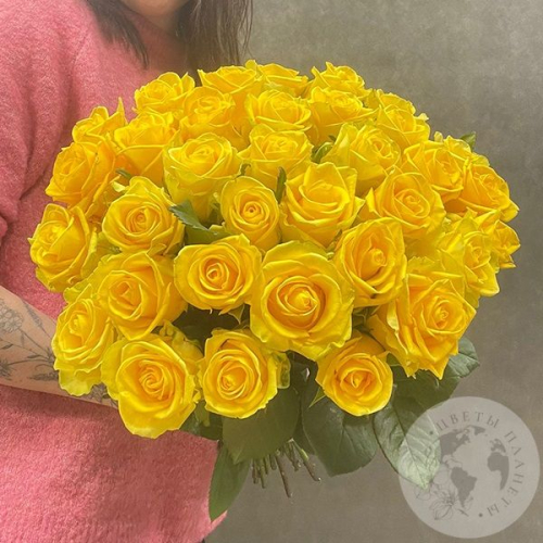 41 роза желтая 50 см. в магазине Цветы Планеты