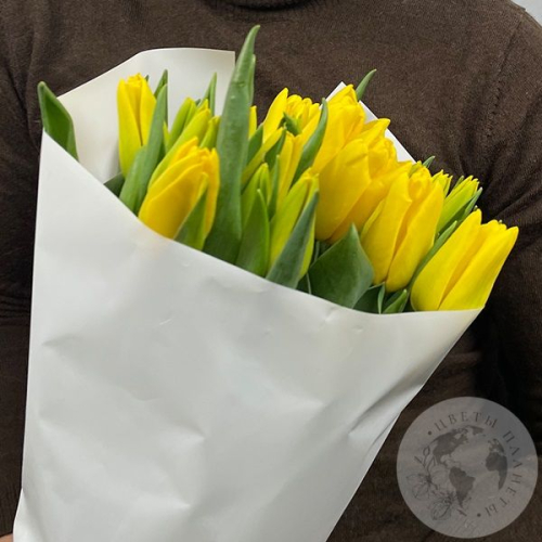 9 тюльпанов желтых в магазине Цветы Планеты