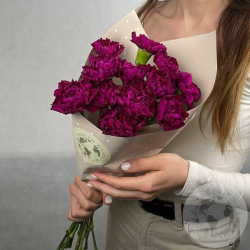 13 гвоздик бордовых в магазине Цветы Планеты