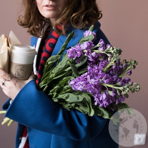 Маттиола сиреневая 9 шт. в магазине Цветы Планеты