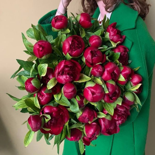 47 пионов бордовых в магазине Цветы Планеты