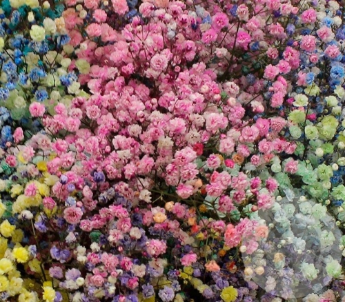 Букет из 35 гипсофил в магазине Цветы Планеты